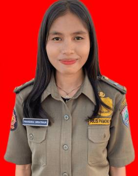 Profil